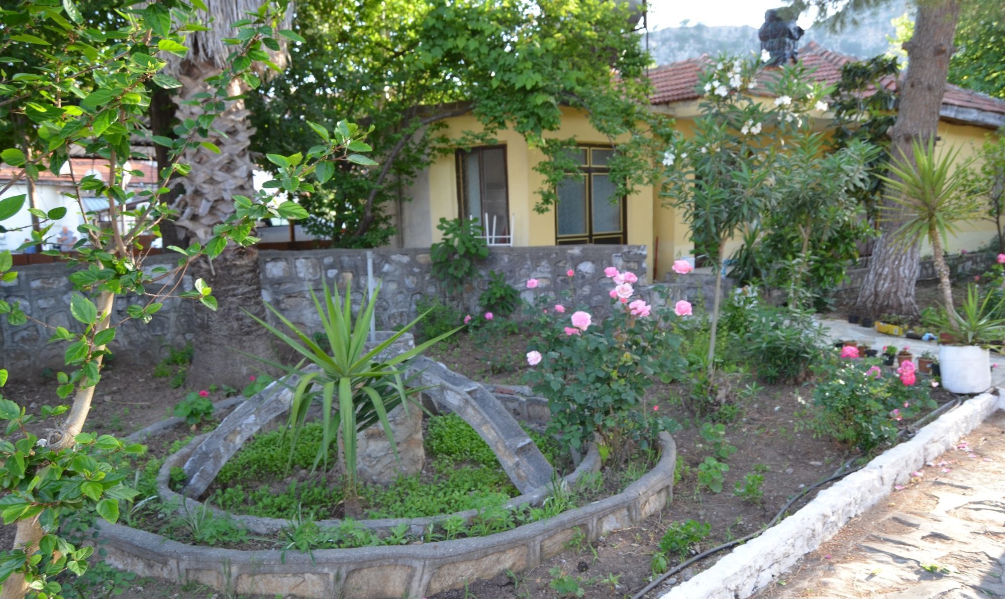 Dalyan Patio Hotel Eksteriør billede